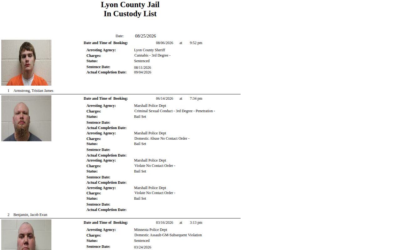 Lyon County Jail current custody report with booking image field